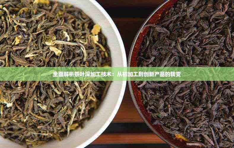 全面解析茶葉深加工技術 從初加工到創(chuàng)新產品的蛻變之旅
