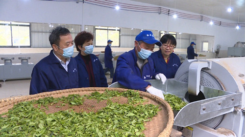 白石千車(chē)嶺茶業(yè)公司黃茶入選國(guó)家農(nóng)業(yè)標(biāo)準(zhǔn)化試點(diǎn)示范項(xiàng)目，引領(lǐng)茶葉加工新高度