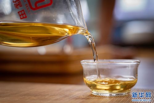 萬千氣象看云南 | 鳳慶春茶開采，茶香四溢的夏秋滋味